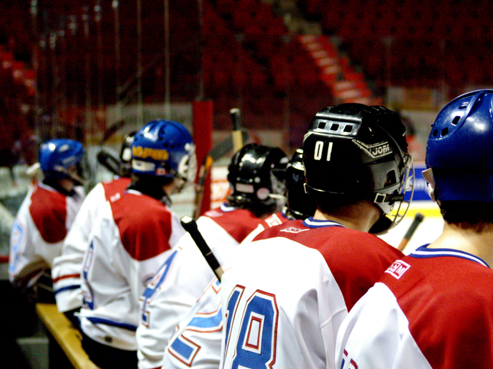 Travel and Play | Hockey | Youth Hockey Team Tours